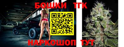 молекула духа Будённовск
