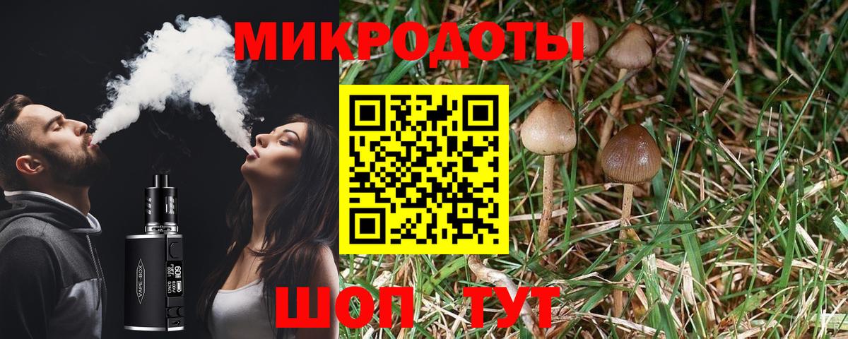 Псилоцибиновые грибы мухоморы Барнаул